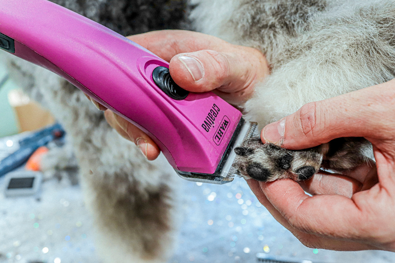 Wahl Creativa Clipper trimming paw