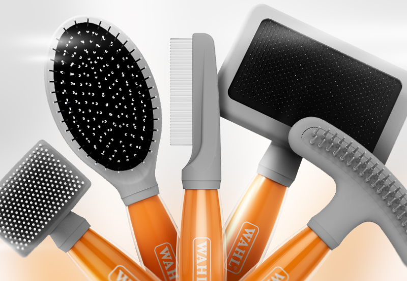 Wahl brushes