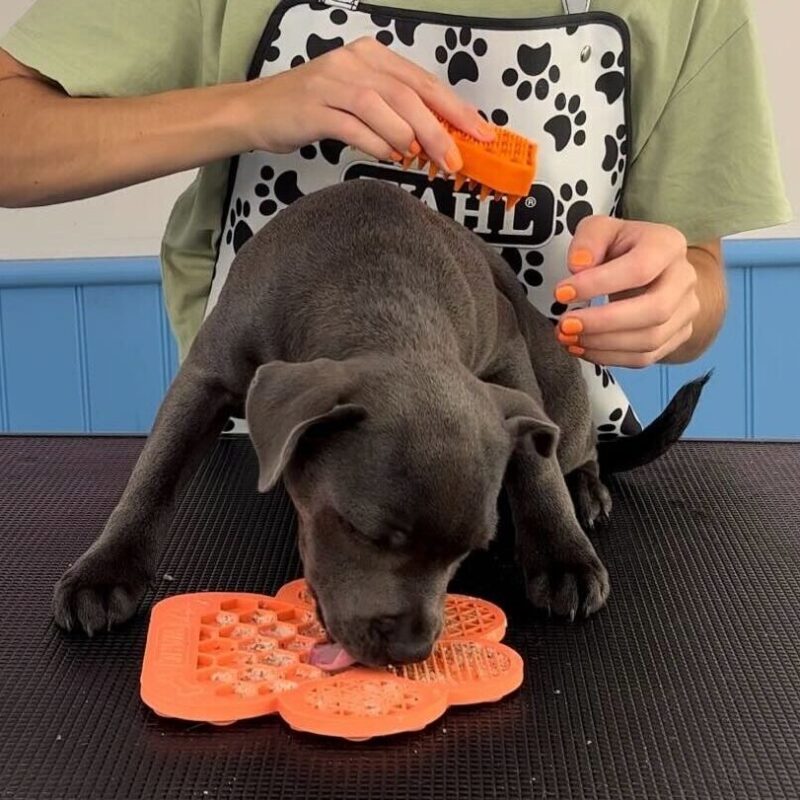 dog being groomed while licking treat mat