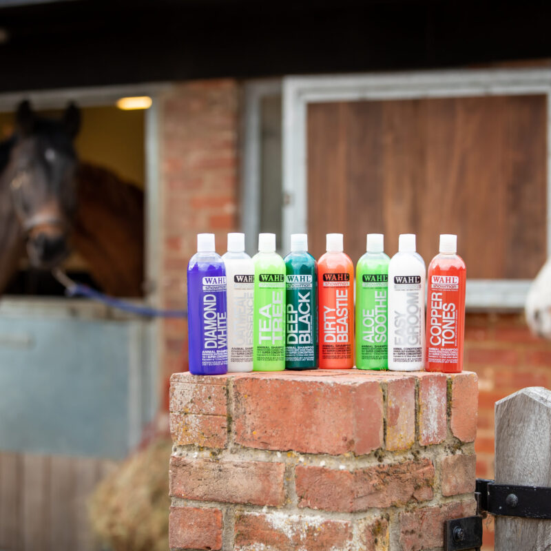 Range of shampoos for horses