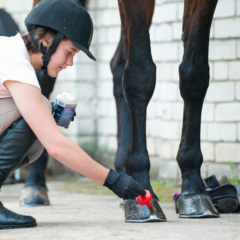 hoof treatment