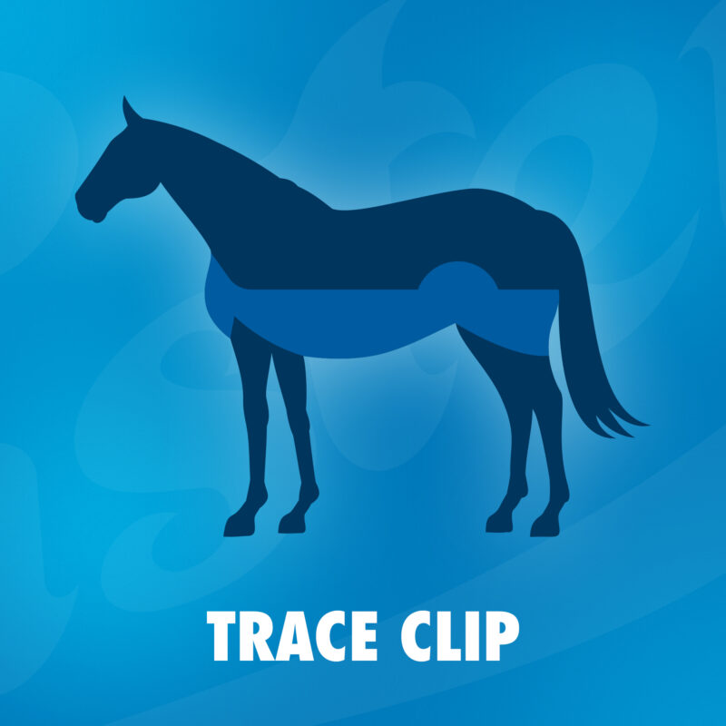 trace clip