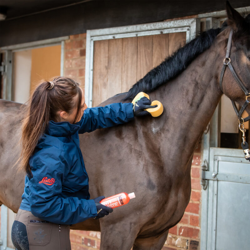 lister equine washing